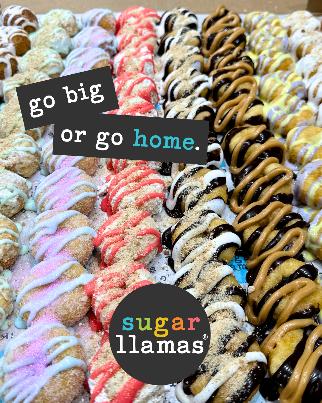 Sugar Llamas • Keller, TX