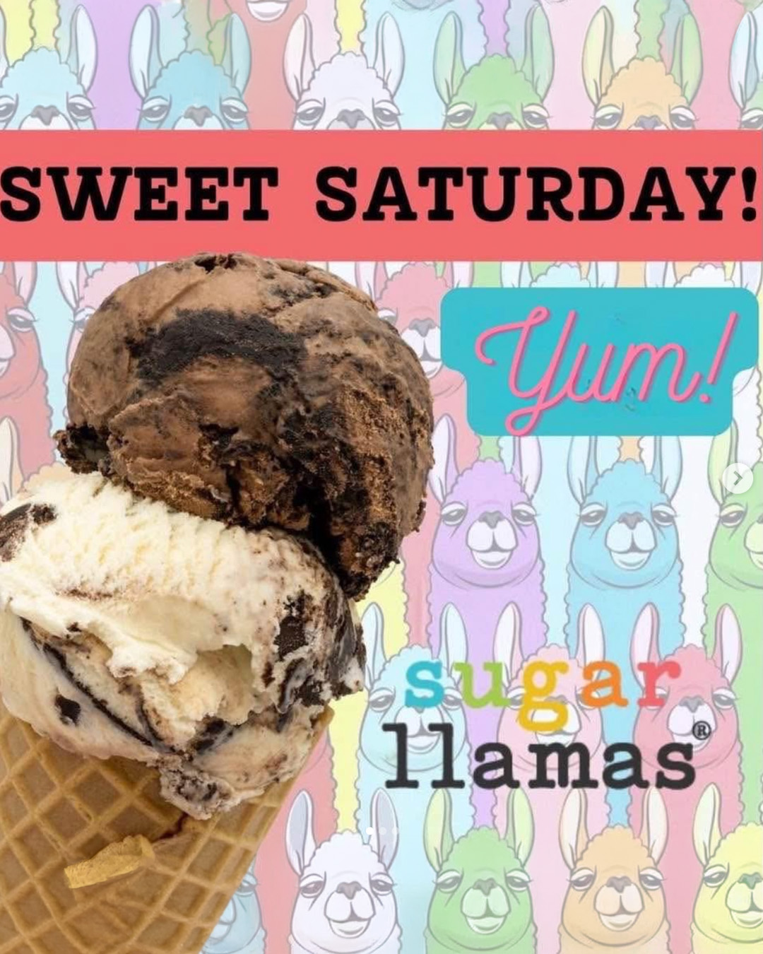 Sugar Llamas • Keller, TX