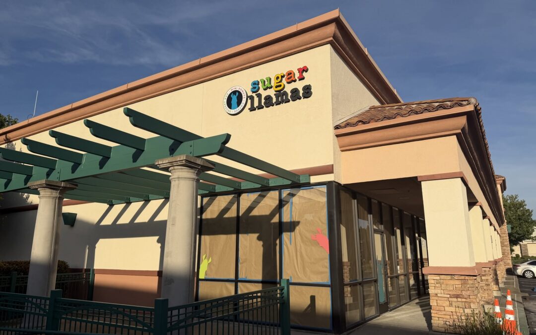 What to Expect from the New Sugar Llamas Placer County Locations