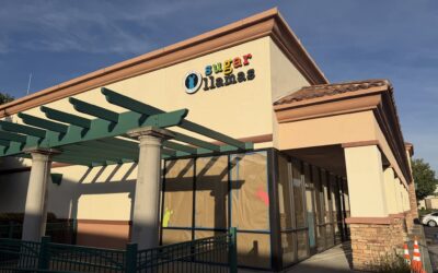 What to Expect from the New Sugar Llamas Placer County Locations